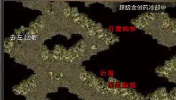 新开传奇sf最大网站：十年老玩家从选服到毕业的实战攻略